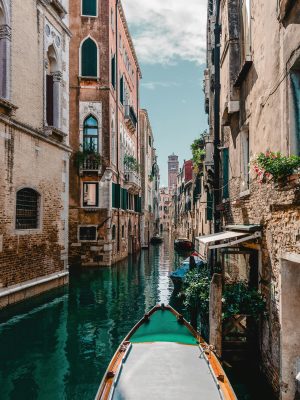 pexels-david-bartus-586687 pexels-david-bartus-586687